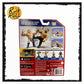 WWE Retro - Sami Zayn
