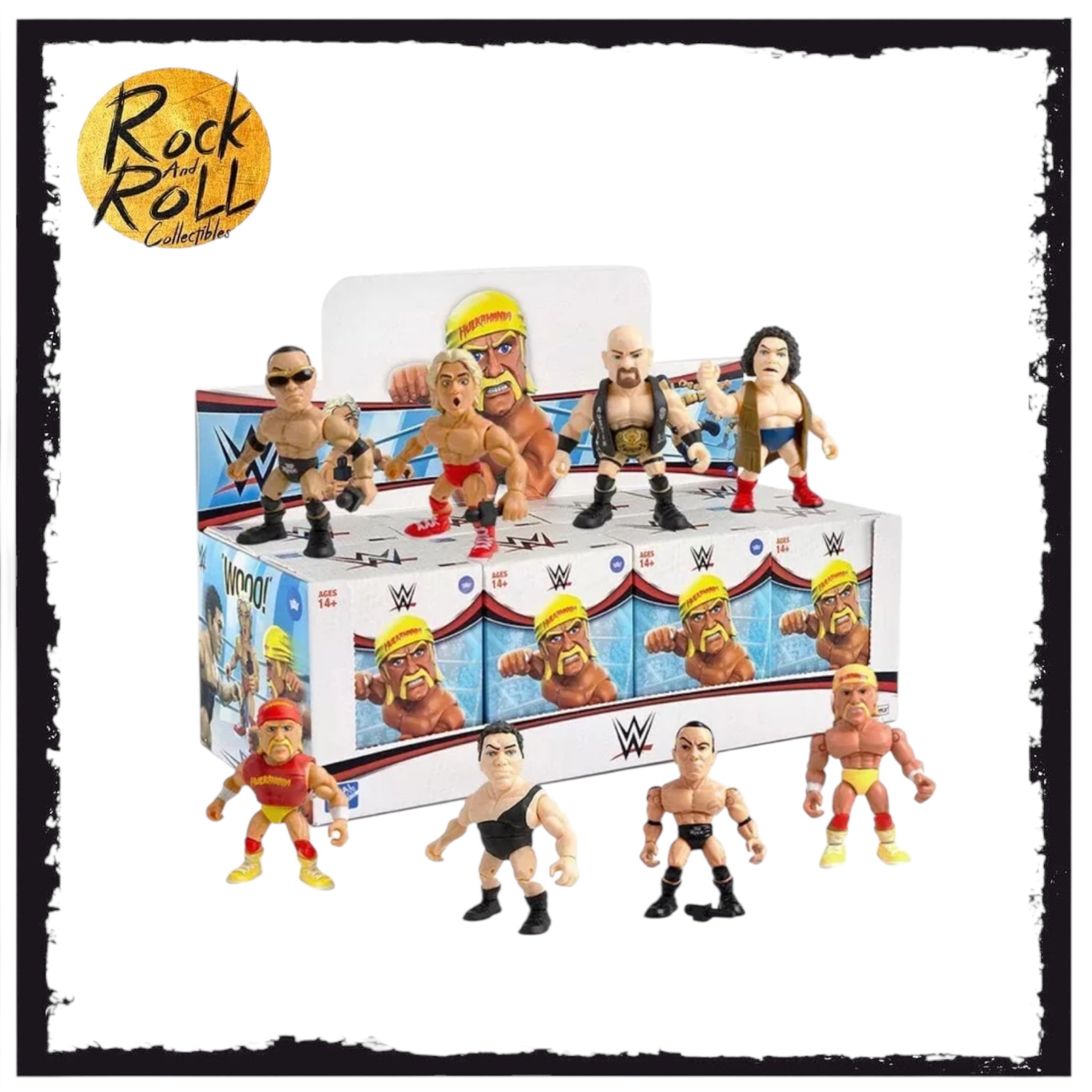 WWE Loyal Subjects Blind Mystery Box [1 Random Sealed Figure] – rock ...