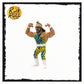 *Damaged Card* ZST-Zombie Sailor Toys Heels And Faces King Macho Man Randy Savage